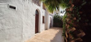 Zona exterior con plantas a la derecha y puertas y ventana a la izquierda.