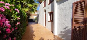 Zona exterior con plantas a la izquierda y muro blanco con puertas a la derecha.